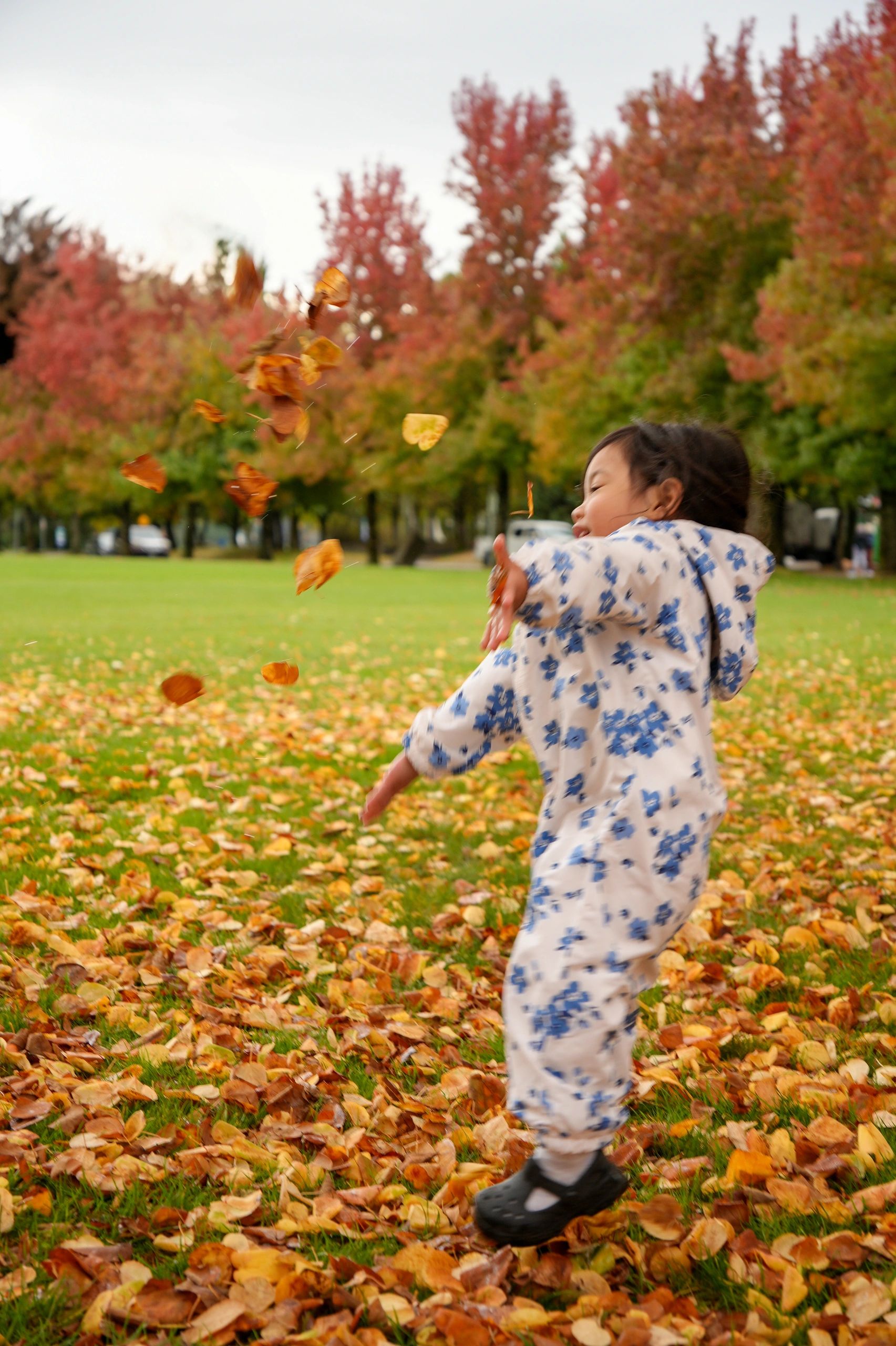 Child playing in autumn leaves