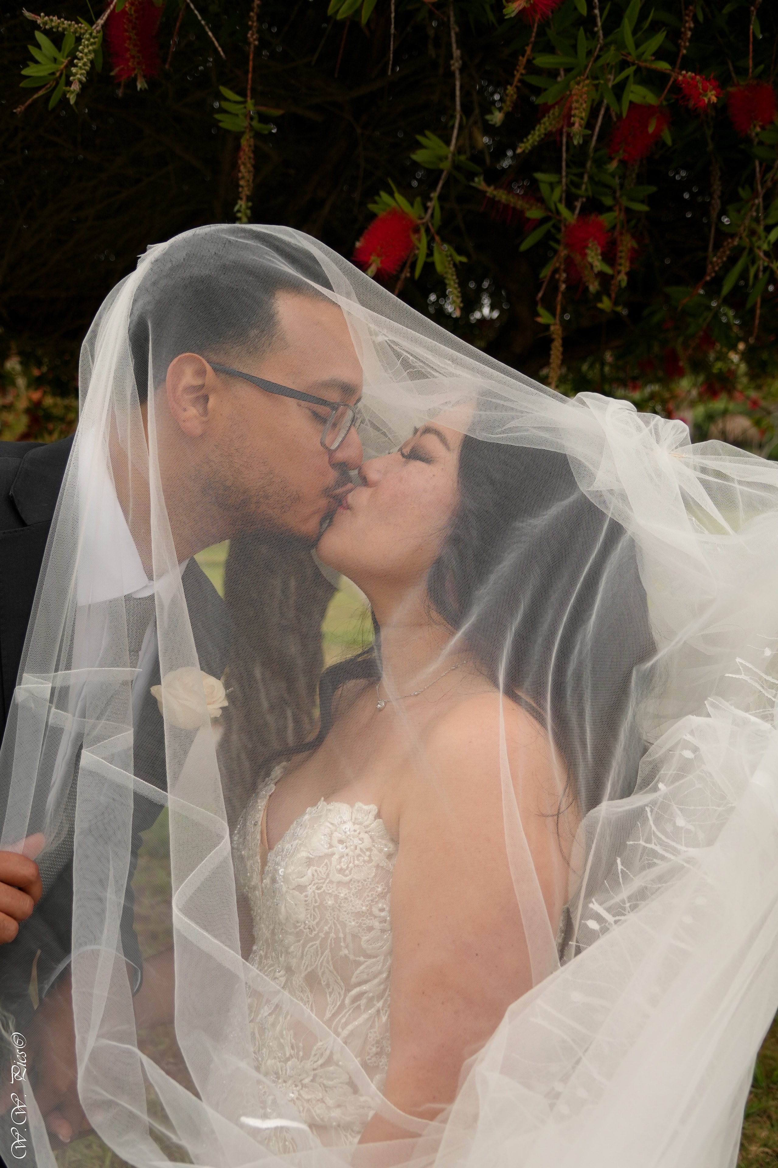 Ellee and Chris wedding portrait